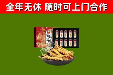 驿城烟酒回收冬虫夏草礼盒.jpg